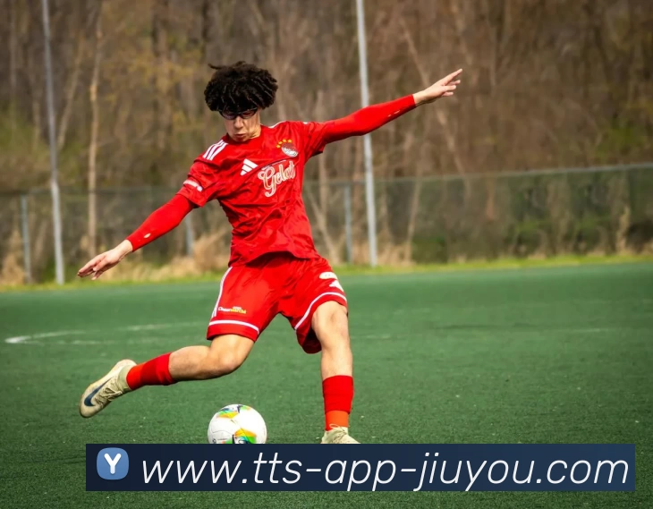 九游体育官网平台生态图